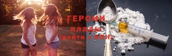 твердый Дмитровск
