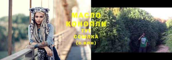 соль ск Дмитров