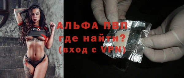 spice Дмитриев