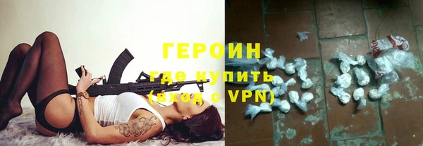 твердый Дмитровск