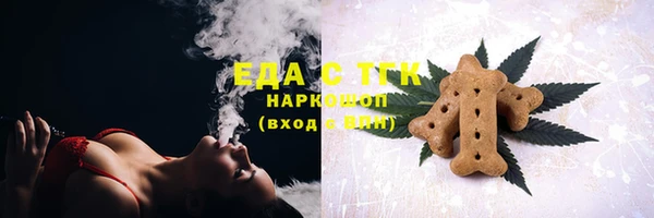 spice Дмитриев