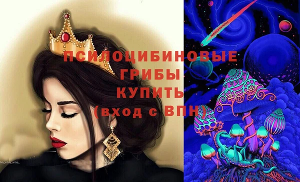 твердый Дмитровск
