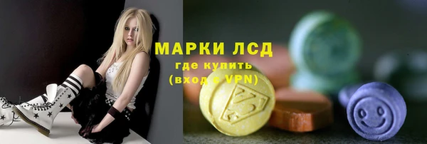 spice Дмитриев