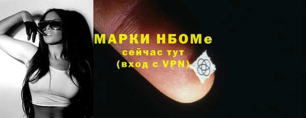 соль ск Дмитров