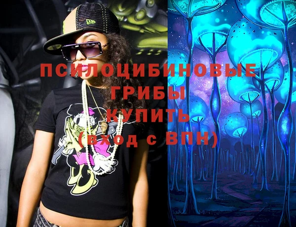spice Дмитриев