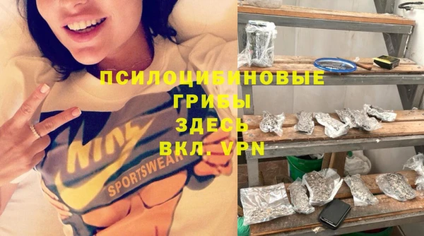 твердый Дмитровск