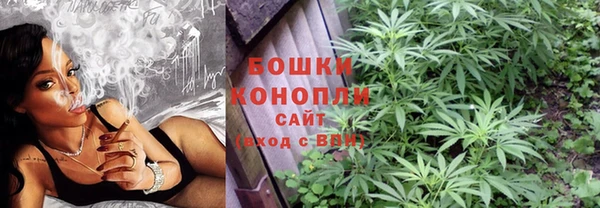 spice Дмитриев
