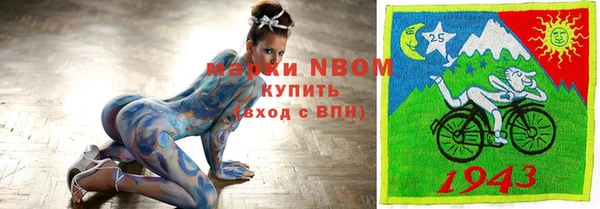 spice Дмитриев