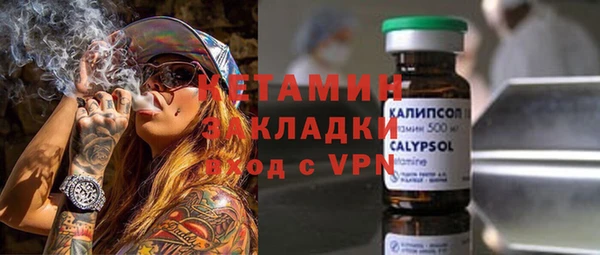 твердый Дмитровск