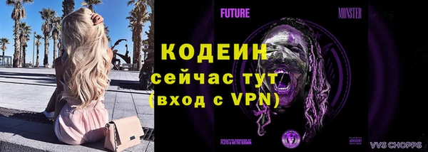 соль ск Дмитров