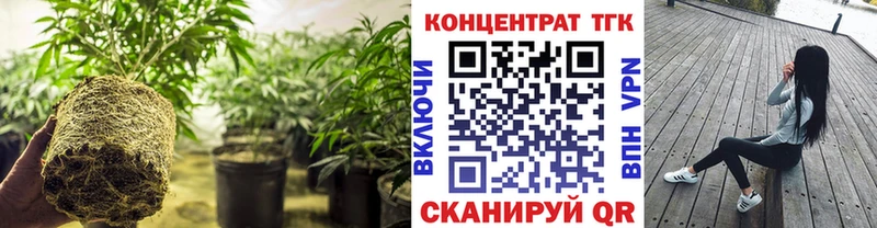 Купить где  Канск  Дистиллят ТГК концентрат 
