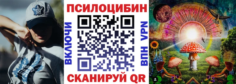 Купить  Канск  Галлюциногенные грибы MAGIC MUSHROOMS 